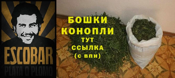меф Арсеньев