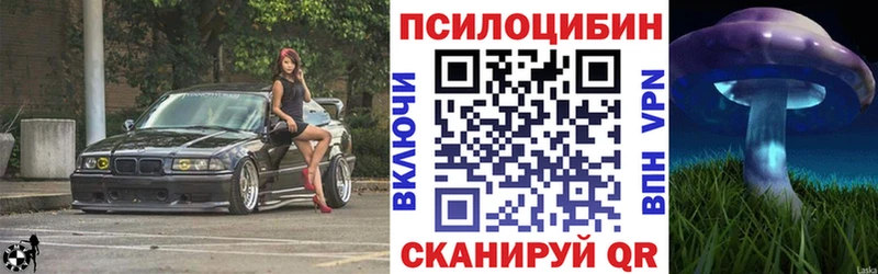 купить   Урень  Псилоцибиновые грибы ЛСД 